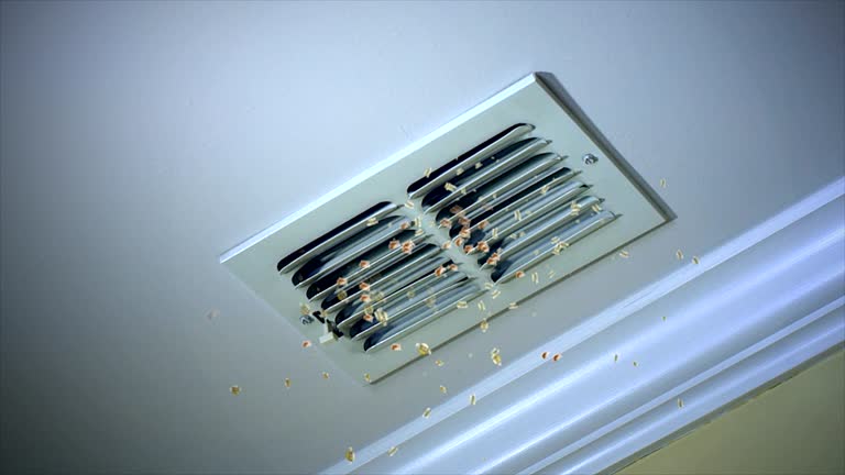 Best Professional Duct Cleaning Services  in Happy Valley, CA