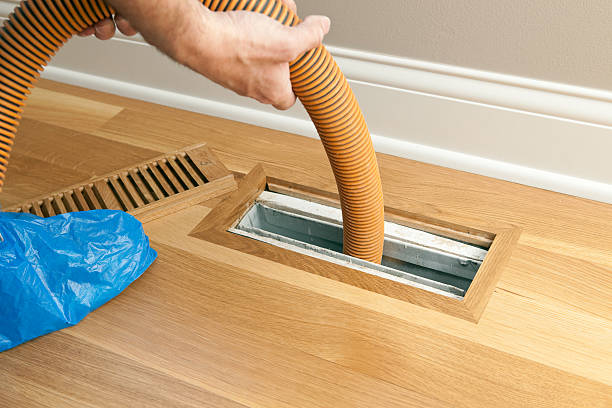 Best Air Duct Mold Removal  in Happy Valley, CA
